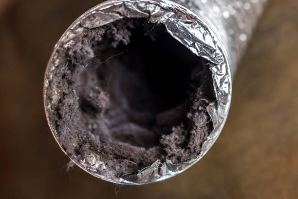 Best Professional Duct Cleaning Services  in Westbury, NY